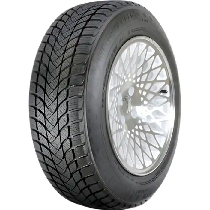 Plată securizată Anvelope iarna LANDSAIL WINTER LANDER 205/55R16 91H