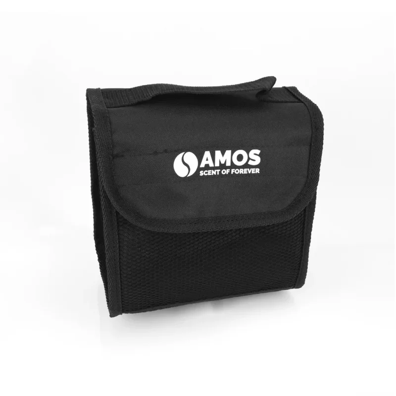 Disponibil imediat GEANTĂ ORGANIZATOARE DE PORTBAGAJ AMOS 23CM