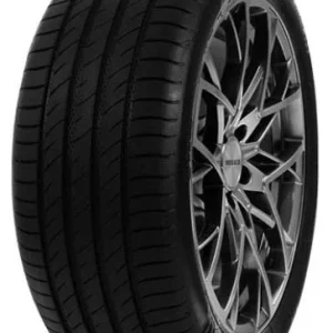 DELINTE DS2 225/60R17 99H Reducere