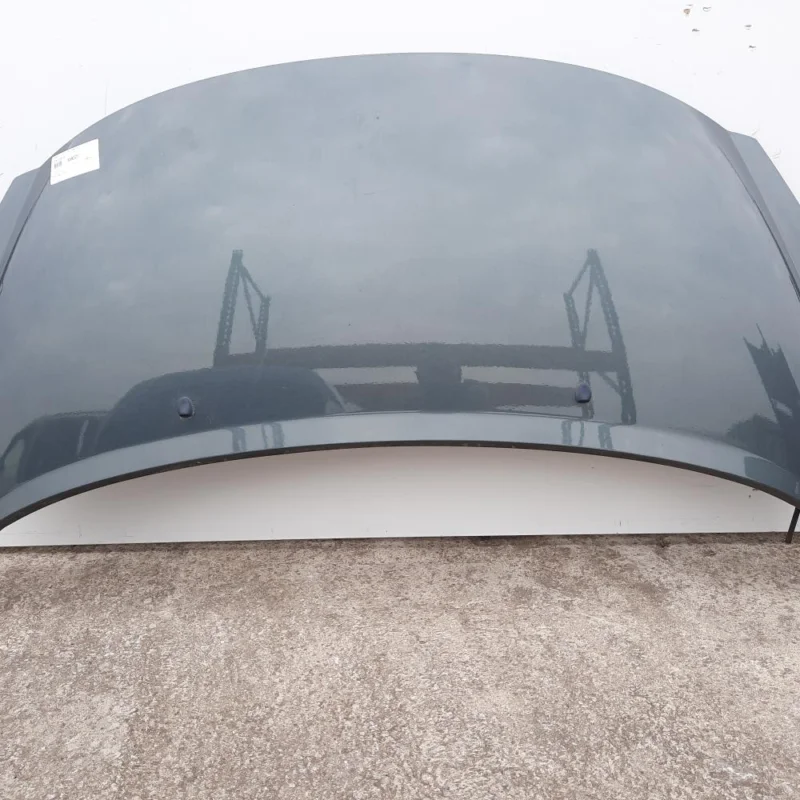 Doar azi Capota fata, Peugeot 207 (WA) (id:559377)