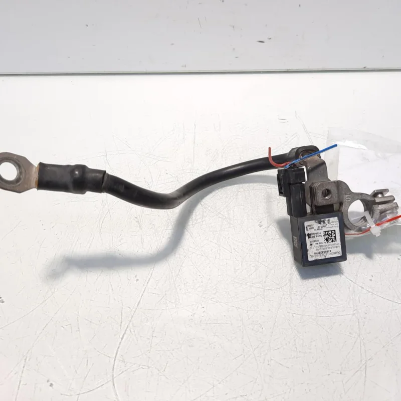 Borna baterie (-) cu capsa, cod A1665420218, Mercedes Clasa C T-Model (S204) (id:559498) Preț redus