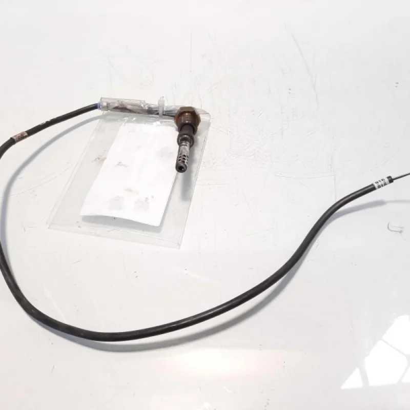 Cumpărături sigure Sonda temperatura gaze, cod 03G906088, Skoda Octavia 2 Combi (1Z5) 2.0 TDI, BMN (idi:542399)
