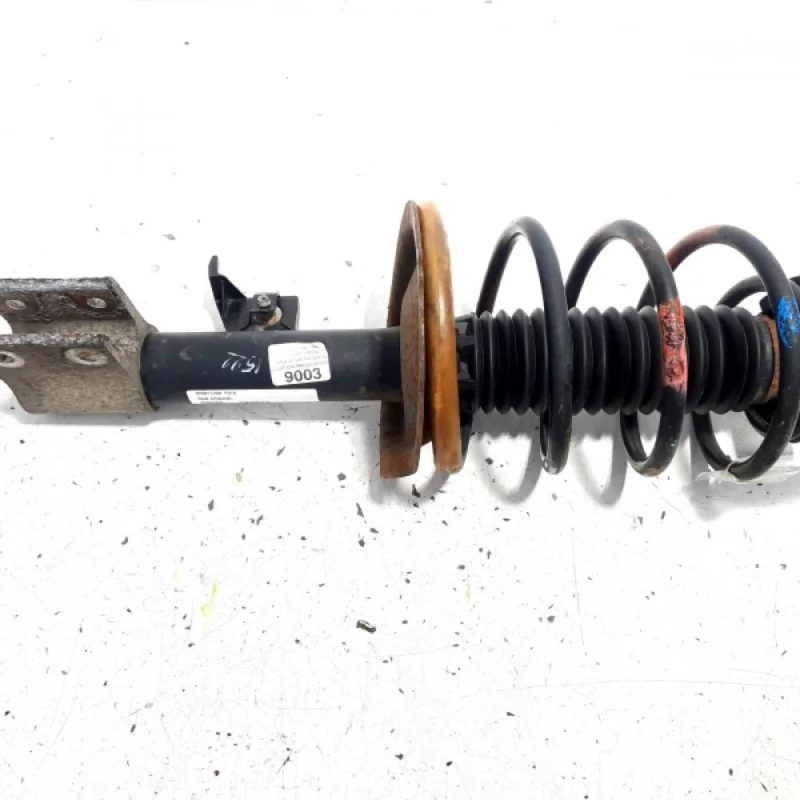 Expediere rapidă Amortizor fata, Peugeot 307, 1.6 HDI, 9HZ (id:548874)