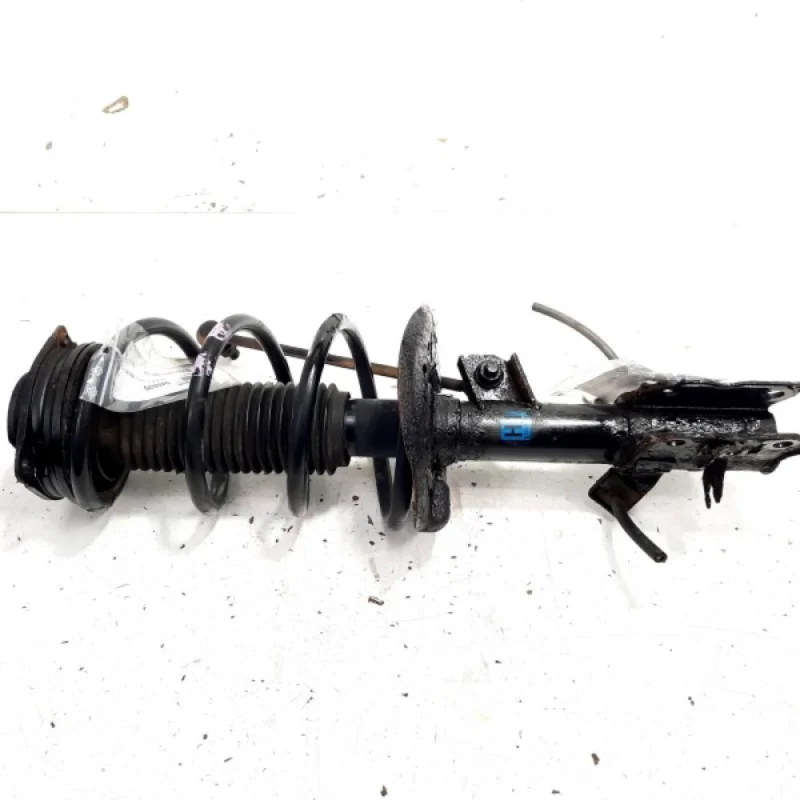 Ofertă exclusivă Amortizor fata, Renault Koleos 1, 2.0 DCI, M9R832, 4x4 (id:545537)