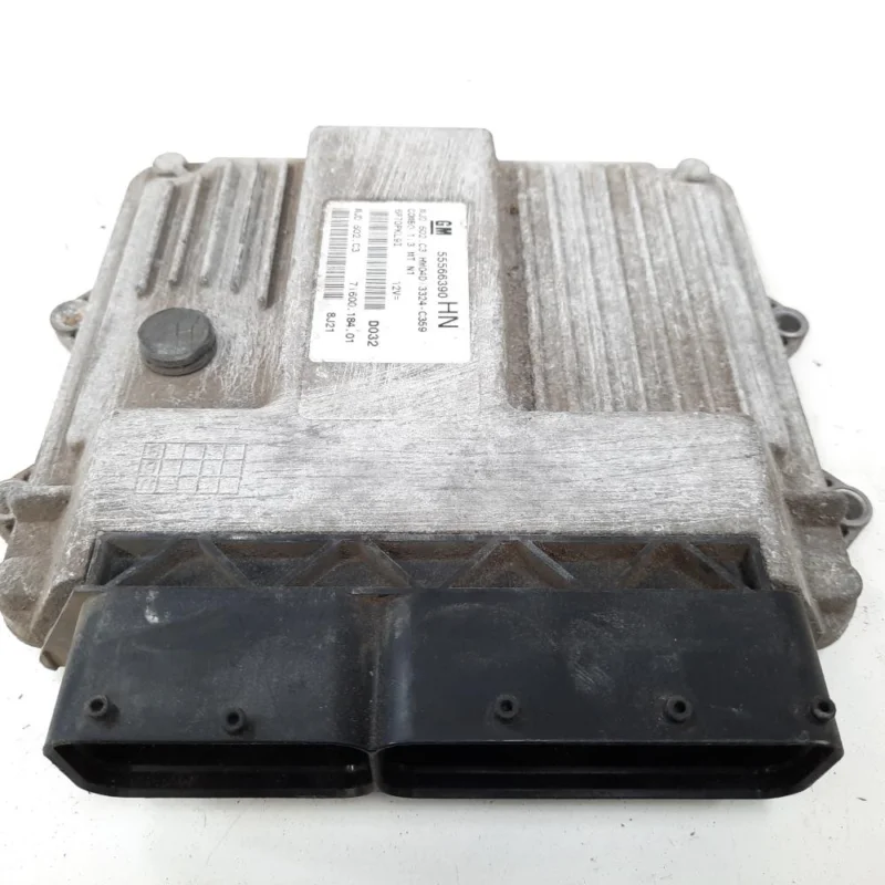 Reduceri Calculator motor, cod GM55566390, Opel Combo, 1.3 CDTI, Z13DTJ (id:538631)
