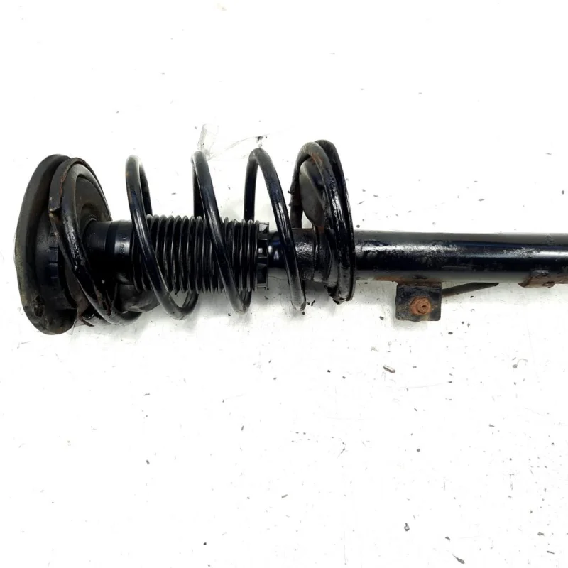 Livrare rapidă Amortizor stanga fata, Peugeot 206 Sedan, 1.4 HDI, 8HZ (idi:529409)