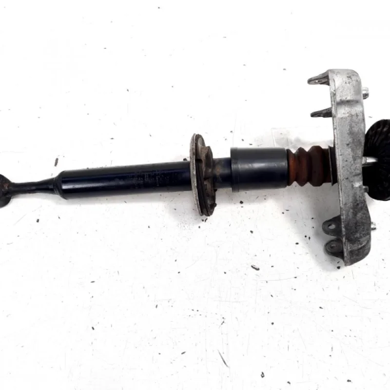 Preț promoțional Amortizor stanga fata, Audi A4 Avant (8ED, B7) 2.0 TDI, BPW (id:529135)