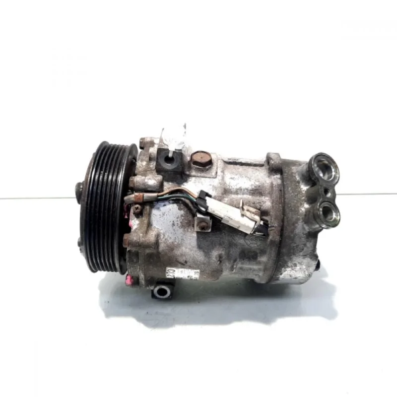 Livrare expres Compresor clima Sanden, cod GM13171593, Opel Vectra C GTS, 1.9 CDTI, Z19DTH (id:524065)