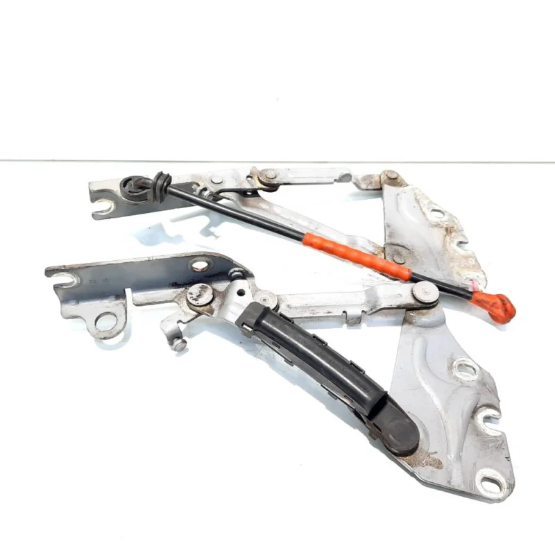 Premium Set balamale capota dreapta fata, Vw Golf 6 Plus (id:523731)