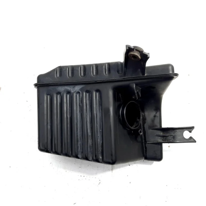 Rezonator aer, cod 96536720, Chevrolet Aveo sedan (T200,T250) (id:520653) Ofertă exclusivă