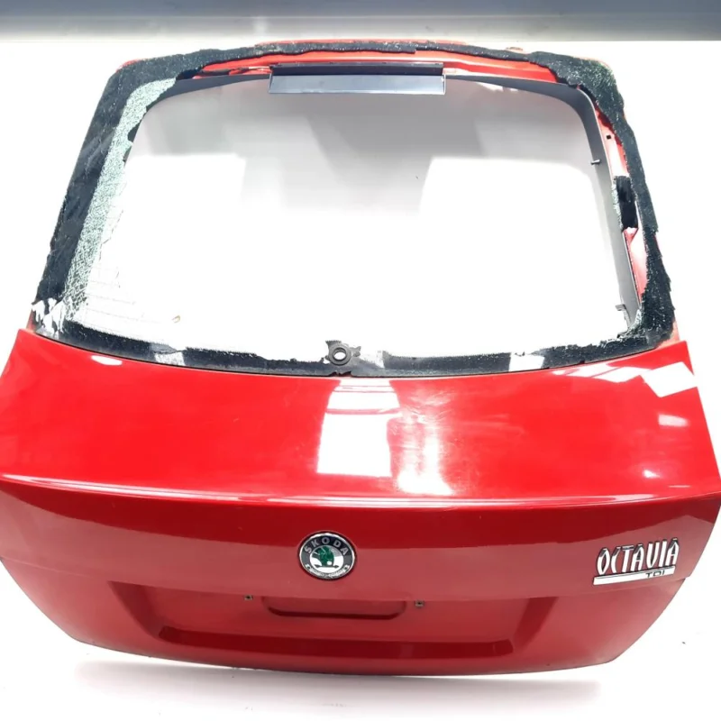 Cumpărături sigure Haion, Skoda Octavia 2 (1Z3) (id:518180)