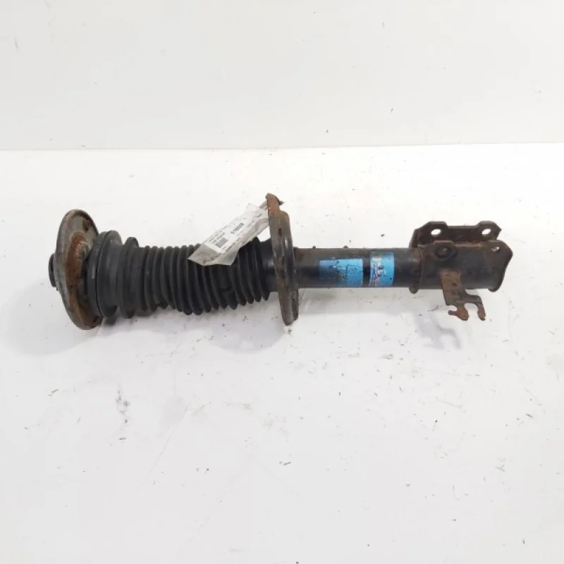 Cel mai bun preț Amortizor dreapta fata, Opel Vectra C, 1.9 CDTI, Z19DT (id:516028)