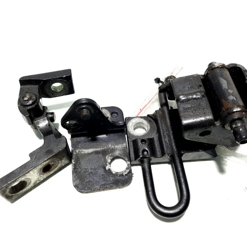 Set balamale dreapta fata, Audi A6 (4F2, C6) (id:515066) Doar azi