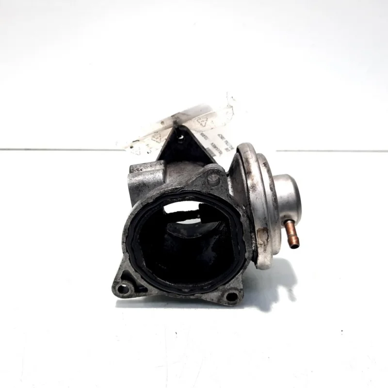 Calitate înaltă EGR, cod 038131501AN, Seat Leon (1P1), 1.9 TDI, BKC (idi:508125)