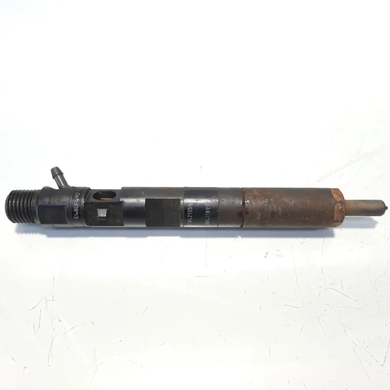 Cumpără acum Injector, cod 8200421359, EJBR03101D, Renault Megane 3 Combi, 1.5 DCI, K9K830 (idi:494480)