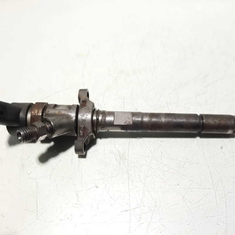 Ofertă specială Injector, cod 0445110259, Ford, 1.6 TDCI, G8DB (pr:110747)