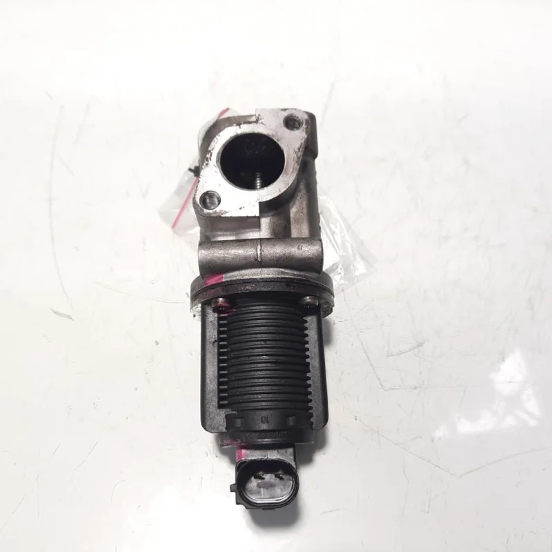 Egr, cod 50024005, Fiat Doblo (119) 1.9 JTD, 223B2000 (idi:471602) Preț redus