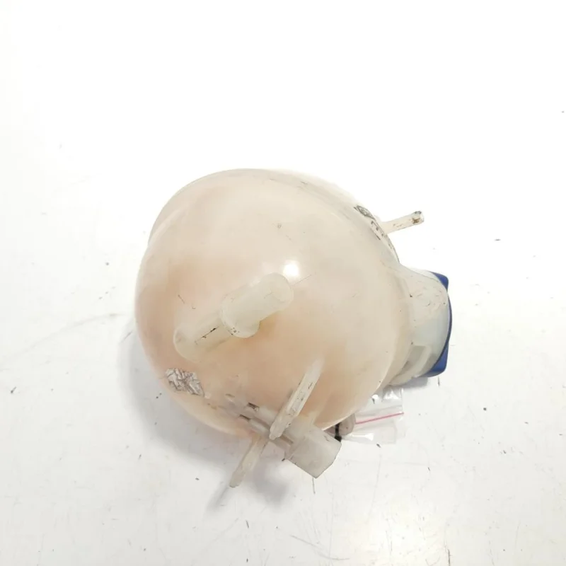 Vas expansiune, cod 6M21-8K218-AA, Vw Sharan (7M8, 7M9, 7M6) 1.9 TDI, BVK (id:493713) Cumpără online