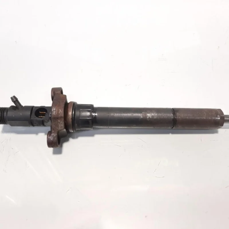Injector, cod 9656389980, EJBR03801D, Citroen C5 (III), 2.0 HDI, RHF (idi:481696) Cel mai bun preț