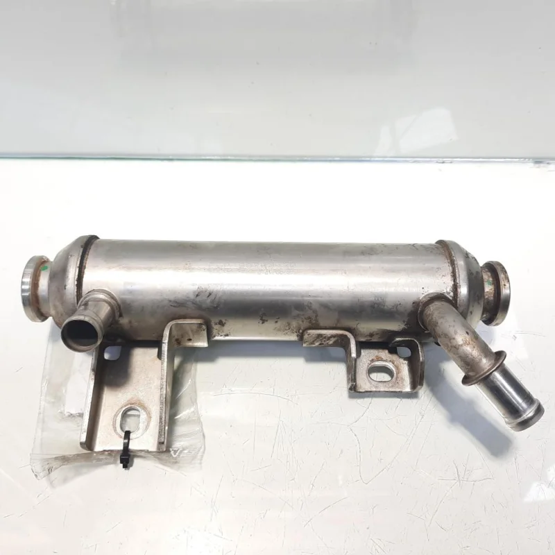 Plată securizată Racitor gaze, cod 55202430, Opel Astra H Twin Top, 1.9 CDTI, Z19DTH (idi:460743)