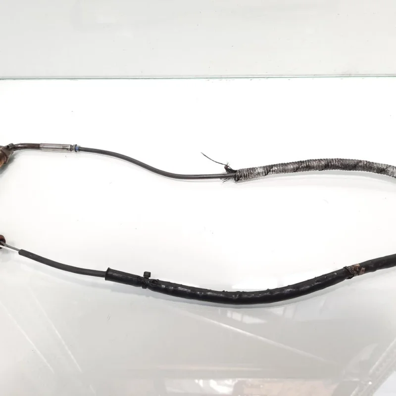 Sonda temperatura gaze, cod 8E0906088, Audi A4 (8E2, B6) 2.0 TDI, BPW (id:477101) Plată sigură