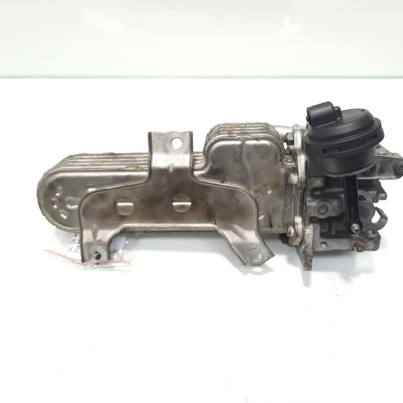 Expediere rapidă Racitor gaze, cod 038131513AD, Seat Leon (1P1), 1.9 TDI, BXE (idi:475141)