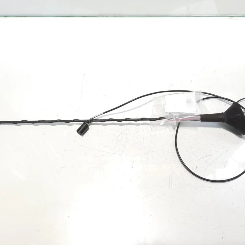 Expediere rapidă Antena radio, cod 8200331744, Renault Megane 2 Combi (id:465795)