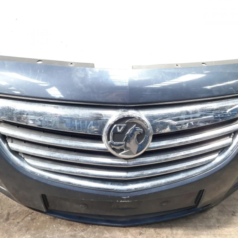 Grila bara fata centrala, Opel Insignia (id:465439) Nu rata