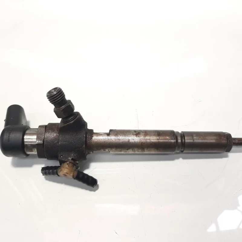Injector, cod 8200294788, 8200380253, Renault Megane 3 Coupe, 1.5 DCI, K9K846 (idi:463732) Reducere specială