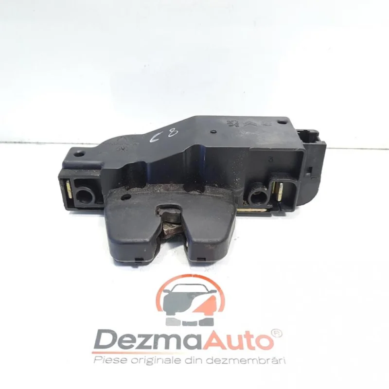 Plată sigură Broasca haion, cod 9646091580, Peugeot 307 SW