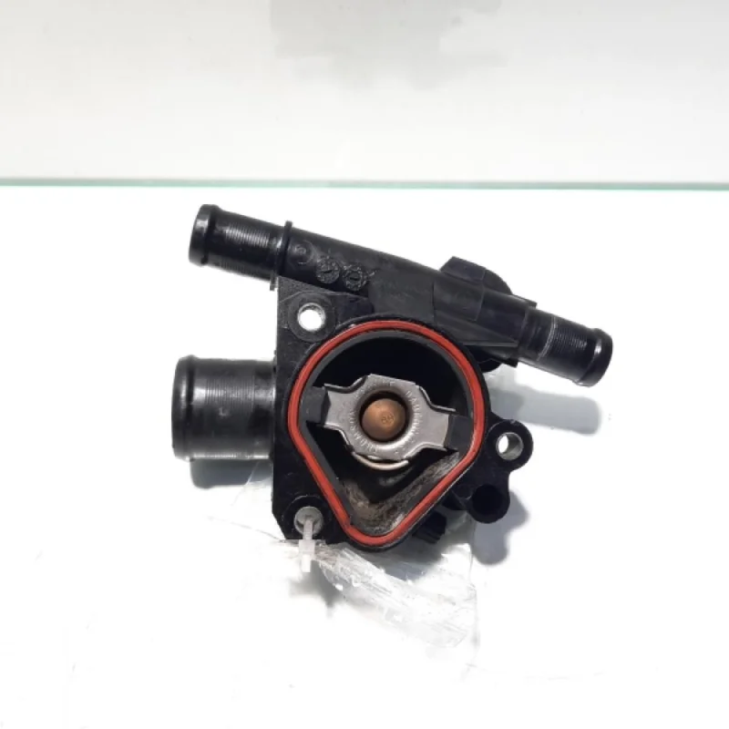Super ofertă Corp termostat, cod 8200801570, Renault Megane 2 Coupe-Cabriolet, 2.0 DCI, M9RA700