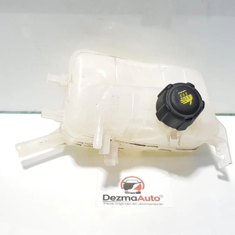 Vas expansiune, Renault, cod 217100005R Reducere extra