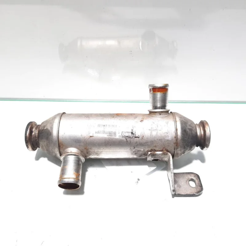 Racitor gaze, Citroen, 2.0 HDI, RHS, cod 9639874380 Comandă acum