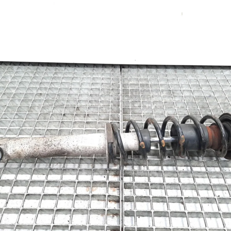 Ofertă Amortizor dreapta spate, Bmw 5 Touring (E61) [Fabr 2004-2010] 7905315 (id:426639)