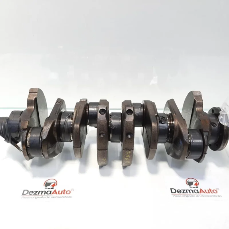 Popular Vibrochen, Renault Scenic 2 [Fabr 2003-2008] 1.9 dci, F9Q732 (pr:110747)