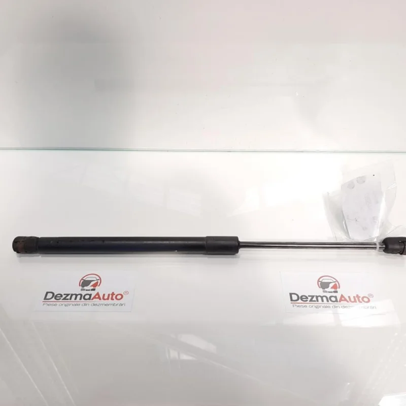 Amortizor haion, Chevrolet Captiva (C100) [fabr 2006 -> ] 96830124 (id:429627) Cumpără acum