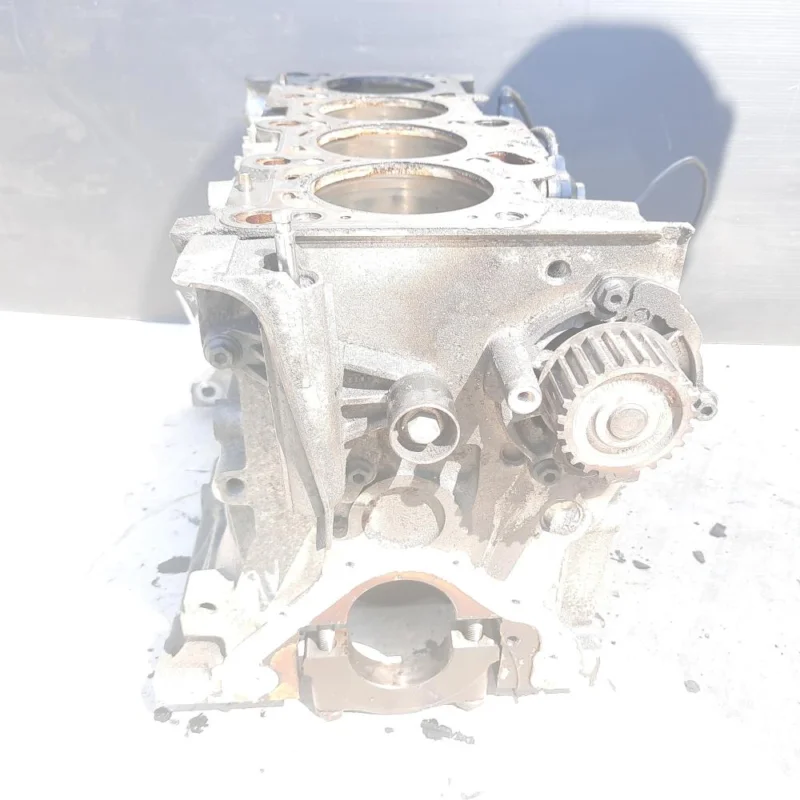 Bloc motor gol, ALT, Audi A4 Avant (8E5, B6) [Fabr 2001-2004] 2.0 benz (pr:110747) Cel mai vândut