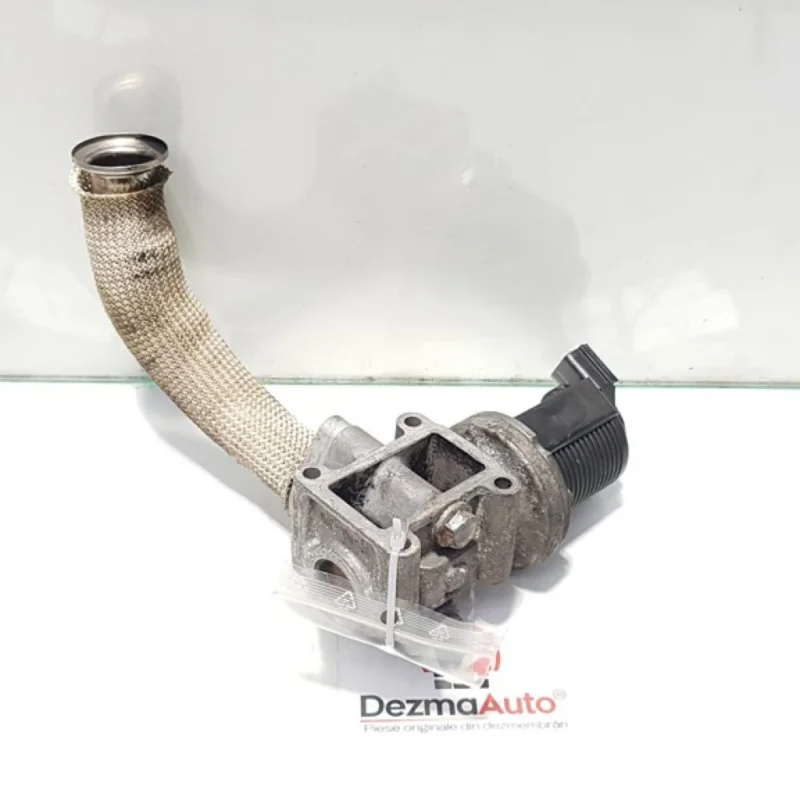 Calitate înaltă Egr, Fiat Bravo 2 (198) [Fabr 2006-2014] 1.9 M-JET, 55215031 (id:404815)