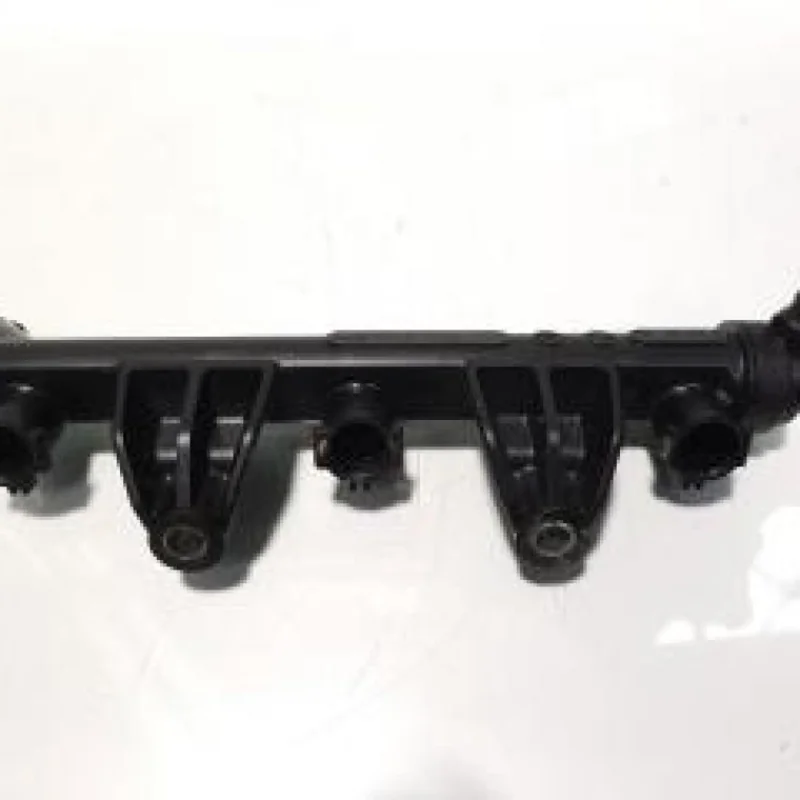 Plată securizată Rampa injectoare, Seat Ibiza 4 (6L1), 1.2 benz, BBM, 03D133319J