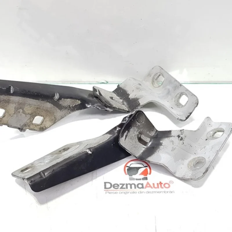 Set balamale capota fata, Renault Megane 2 Sedan (id:386213) Promoție