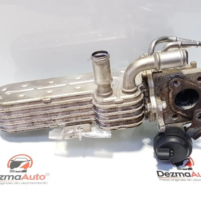 Cumpără acum Racitor gaze, Seat Leon (1P1) 1.9 tdi, cod 038131513AD (id:363287)