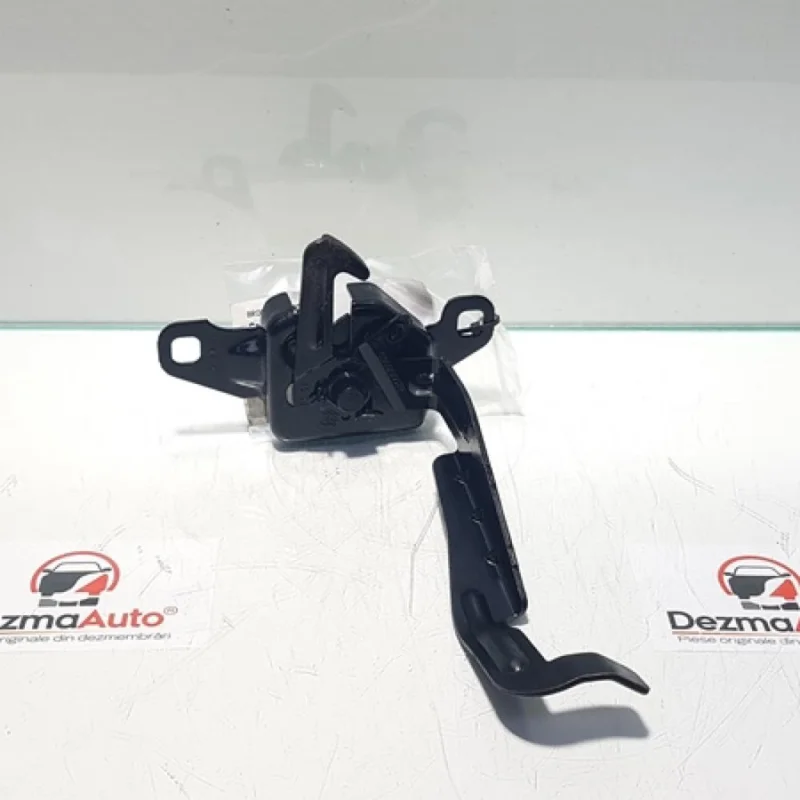 Broasca capota fata, Renault Laguna 3 coupe Reducere extra