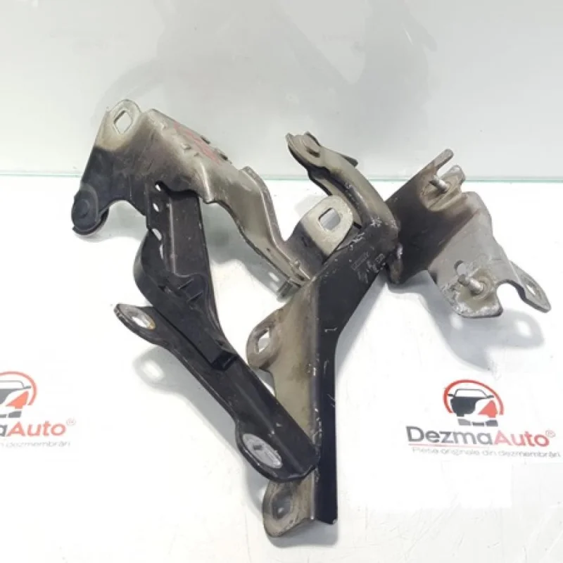 Set balamale capota fata, Renault Laguna 3 coupe Reducere extra
