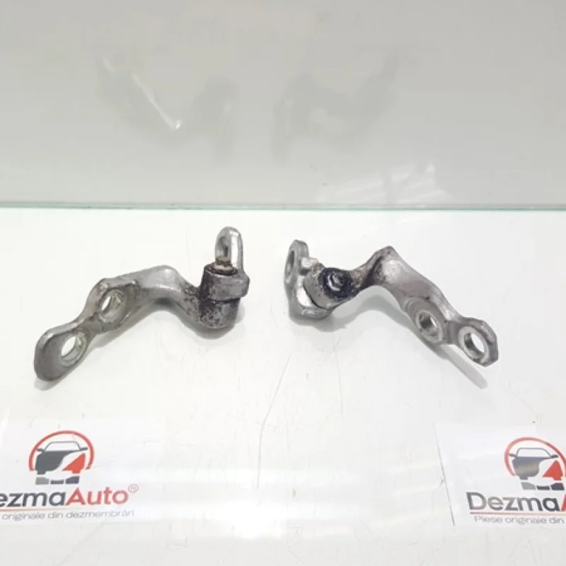 Ofertă de sezon Set balamale stanga fata, Ford C-Max 1, 1.6tdci