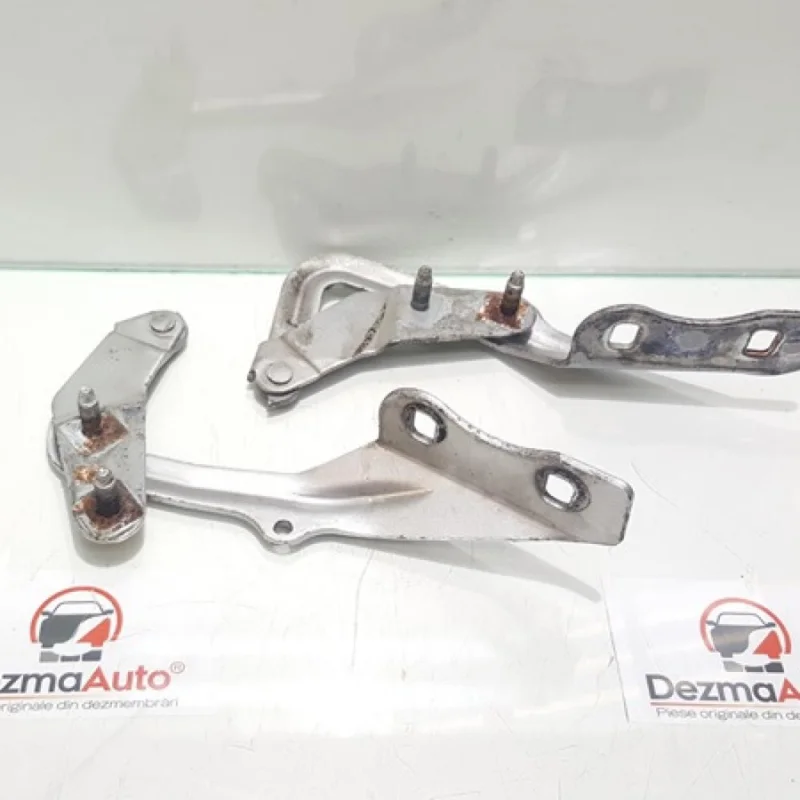 Set balamale capota fata, 4M51-16800-AB, Ford Focus 2 sedan Promoție